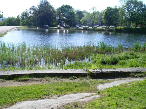 The lake at Robin Hood Park